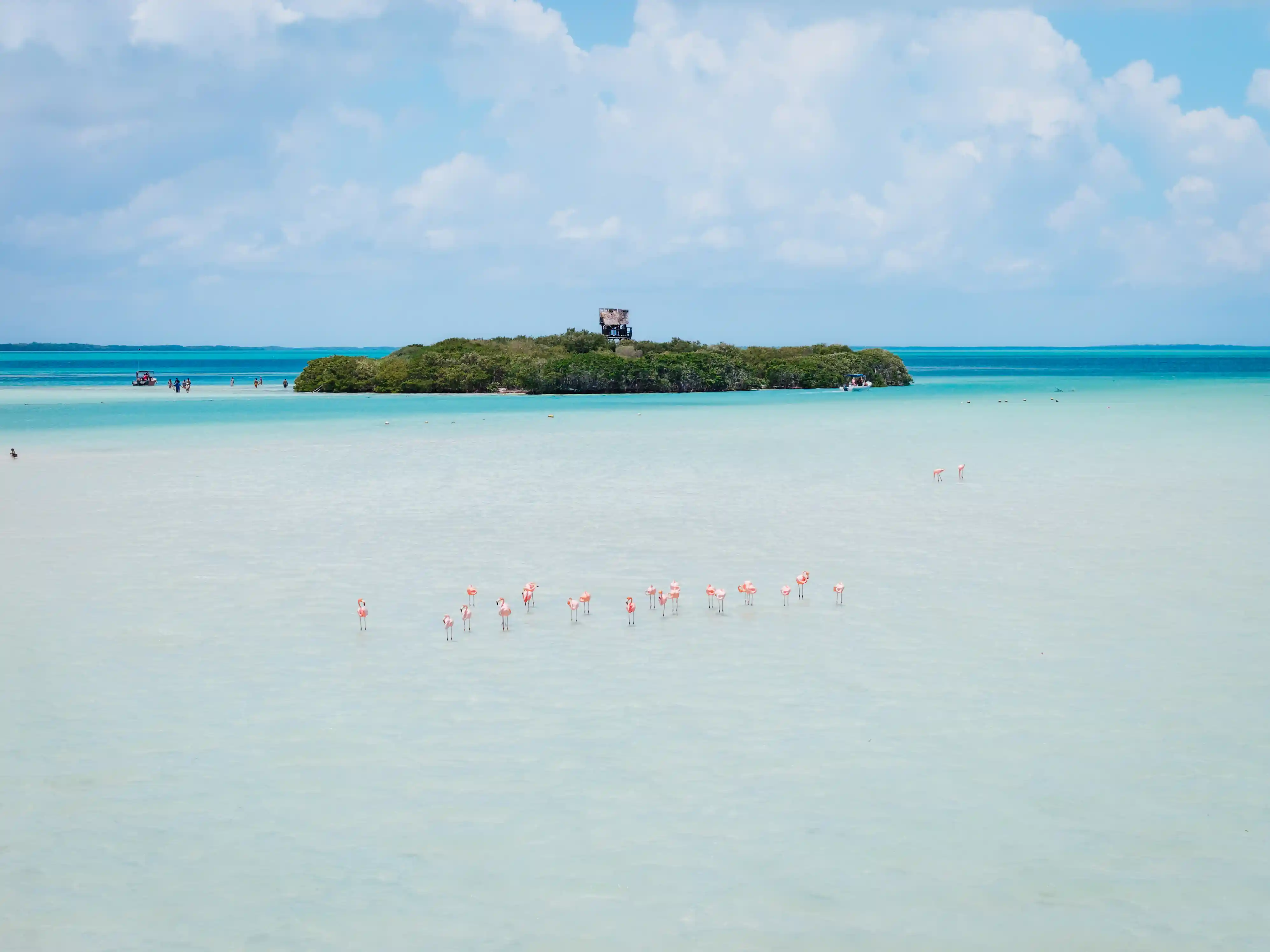 Delek Holbox 7 2025 67