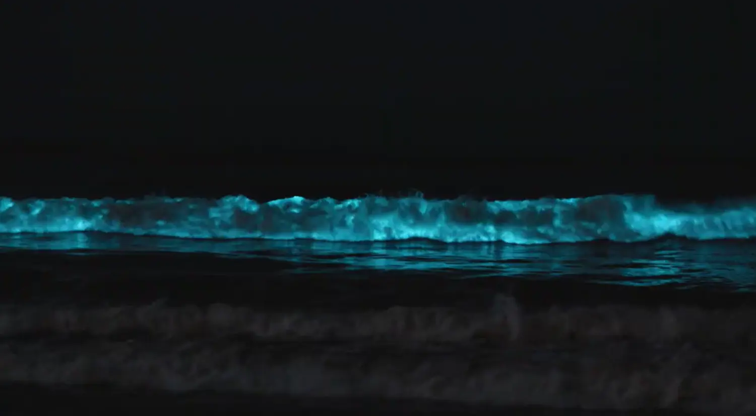 Captura De Pantalla 2025 06 19 141611